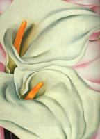 O Keeffe, Georgia - Two Calla Lillies on Pink
